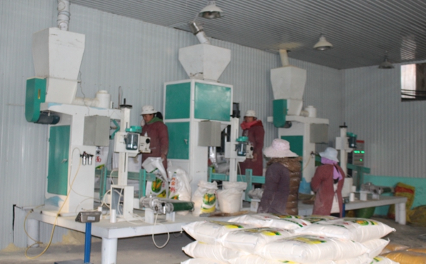 日產30噸玉米加工設備多少錢?點擊在線咨詢，即刻獲取優惠報價